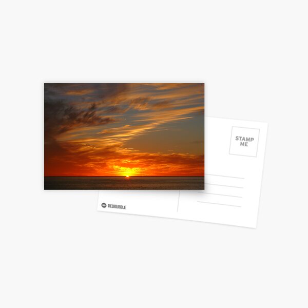 Untitled Postcard
