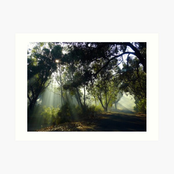 Untitled Art Print