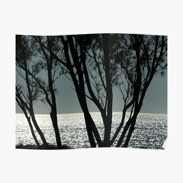 Untitled Poster