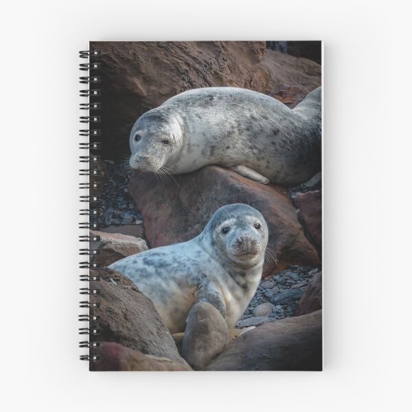 Item preview, Grey Seals at Ravenscar designed and sold by Incakola1.