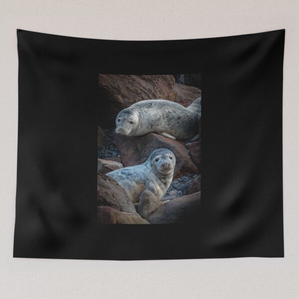 Item preview, Grey Seals at Ravenscar designed and sold by Incakola1.