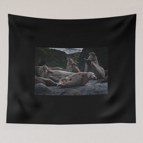 Item preview, Grey Seals on the Beach at Ravenscar designed and sold by Incakola1.