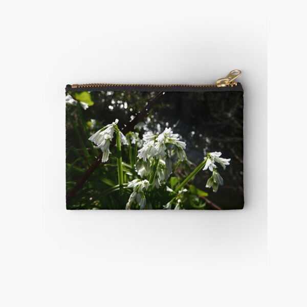 Item preview, Three-cornered Leek (Allium triquetrum) designed and sold by IOMWildFlowers.