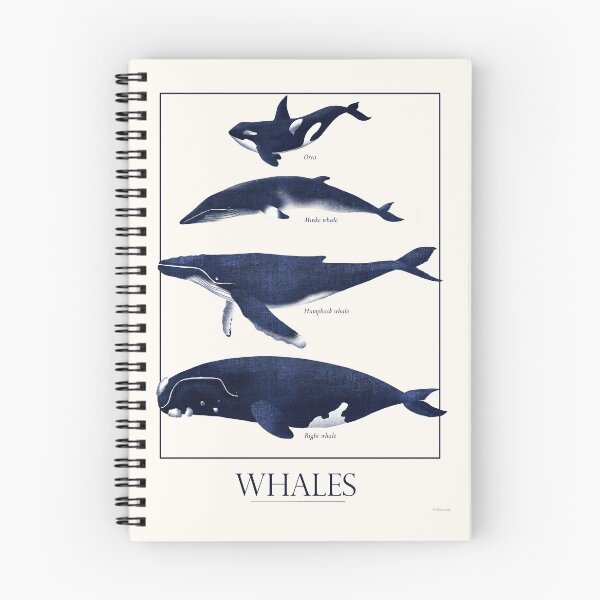 Item preview, Whales designed and sold by sinruby.