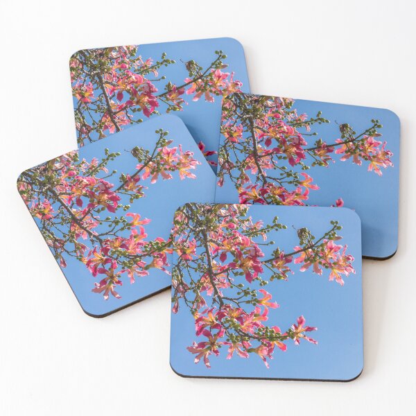 Item preview, Exotic Flowers - Silk Floss Tree Ceiba Speciosa Blooming Branches designed and sold by Georgia Mizuleva.