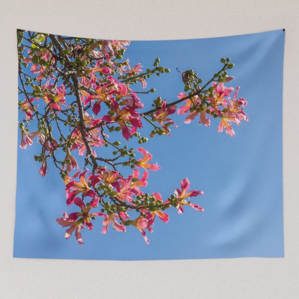 Item preview, Exotic Flowers - Silk Floss Tree Ceiba Speciosa Blooming Branches designed and sold by Georgia Mizuleva.