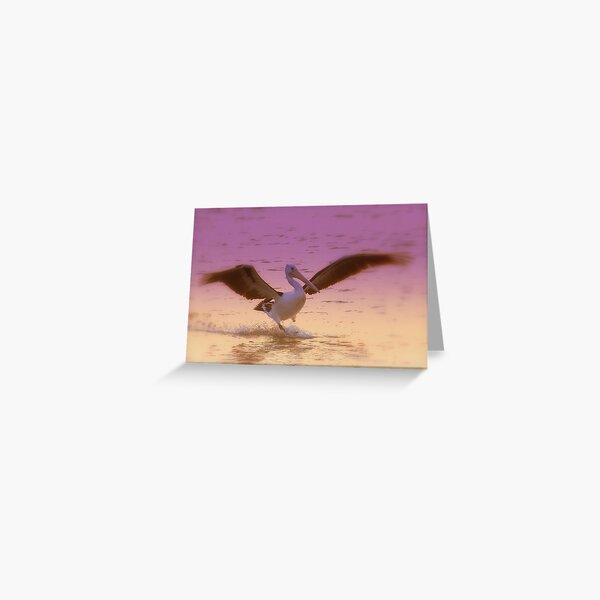 Item preview, Pelican  Coloured designed and sold by Diana Grunwald.