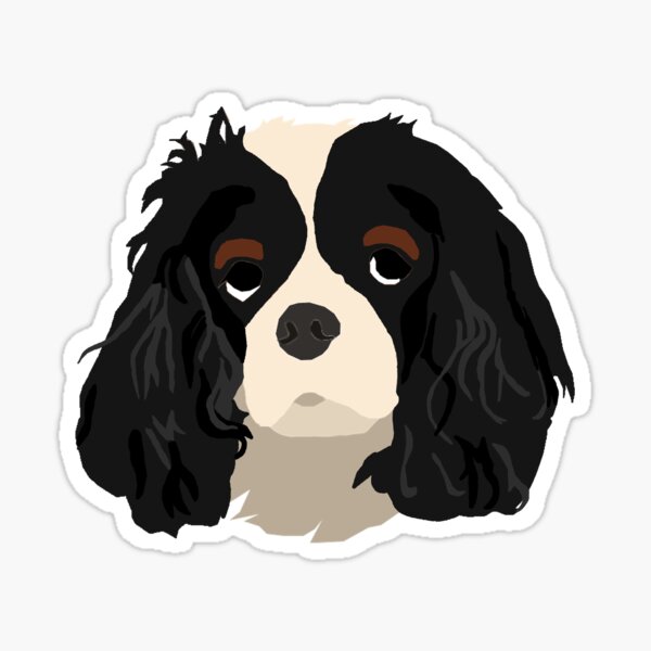 TriColor Cavalier King Charles Spaniel Sticker