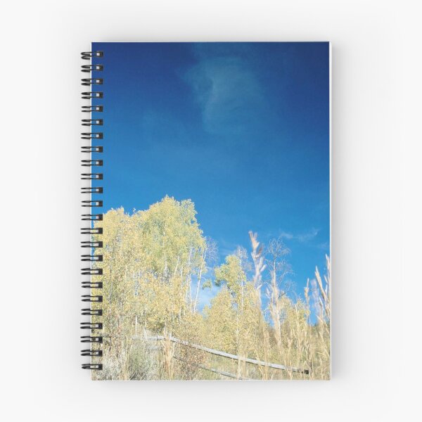 Item preview, Bluest Sky designed and sold by DayColors.