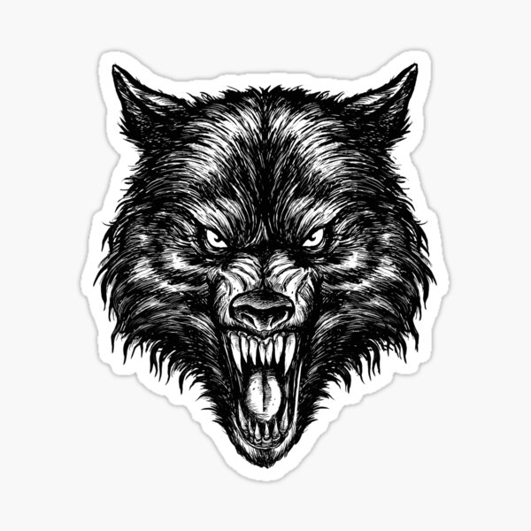 Draw Wolf Face by Seascraper on DeviantArt