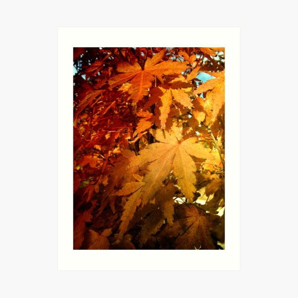 L a s t S u m m e r Art Print
