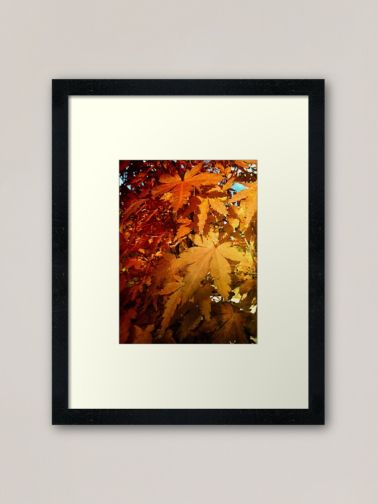 Alternate view of L a s t S u m m e r Framed Art Print