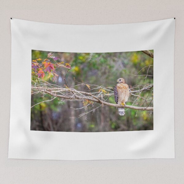 Item preview, Hawk designed and sold by SpikeFlutie.