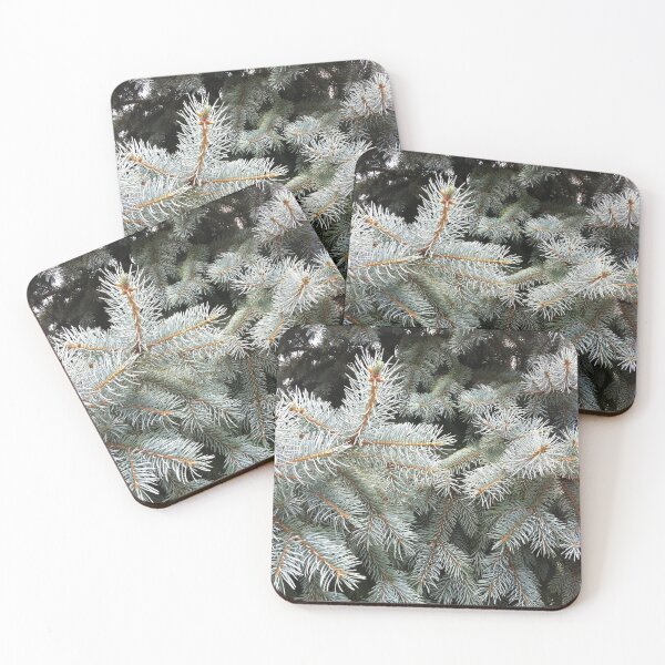Silver Fir from A Gardener's Notebook Coasters (Set of 4)