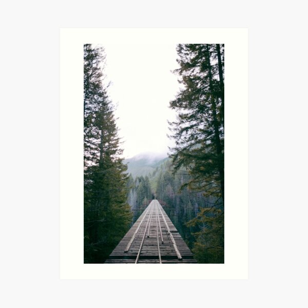 Vance Creek Bridge Art Print