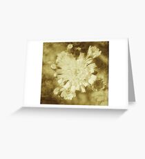Graceful Greeting Card