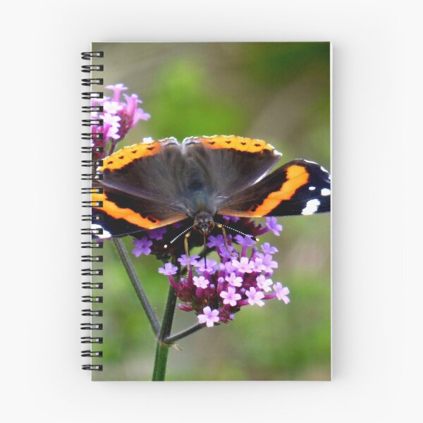 Item preview, feeding red admiral designed and sold by 6059.