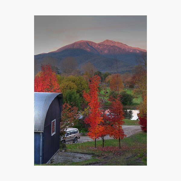 Item preview, Autumn Kiewa designed and sold by David Hunt.