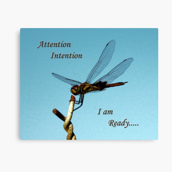 Attention..... Canvas Print