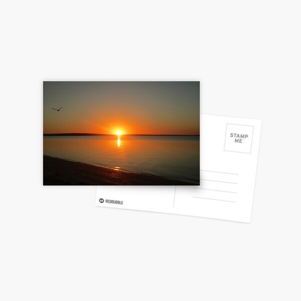 Item preview, Sunset - Shark Bay - Australia designed and sold by PeterZe.