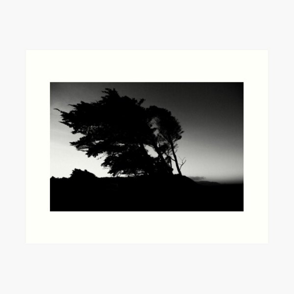 Coastal Morning Art Print