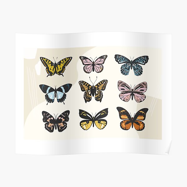 Pack d'autocollants papillon Poster