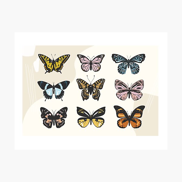 Butterfly Sticker Pack Photographic Print