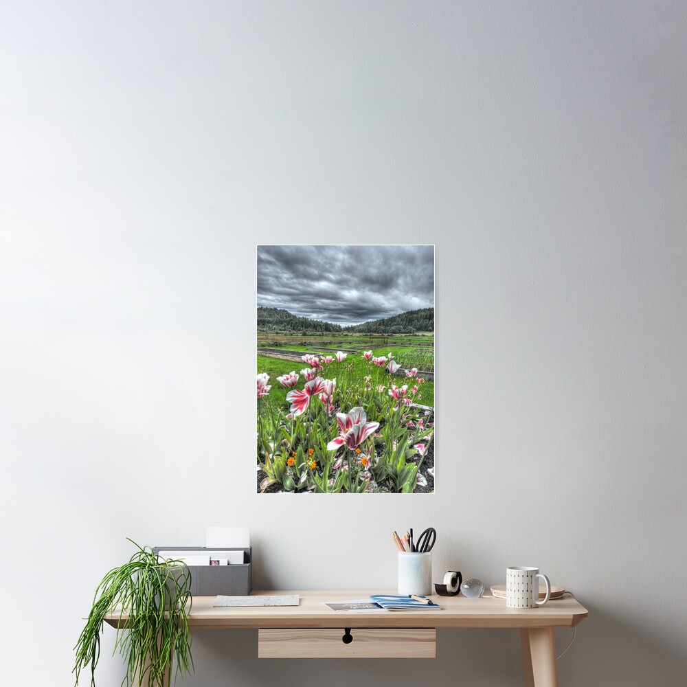 Spring on Punch's Farm Poster