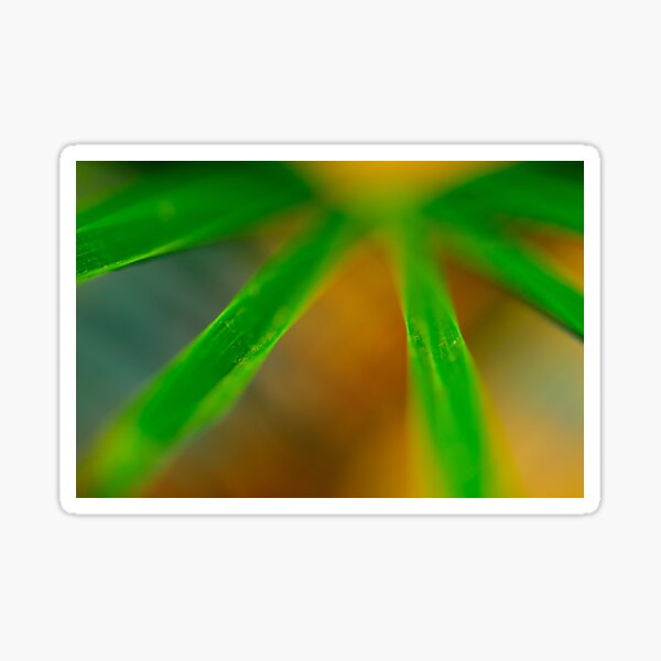 Stellar Foliage Sticker