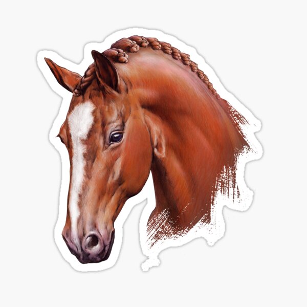 "Horse Portrait" Sticker for Sale by Salmoneggs Redbubble