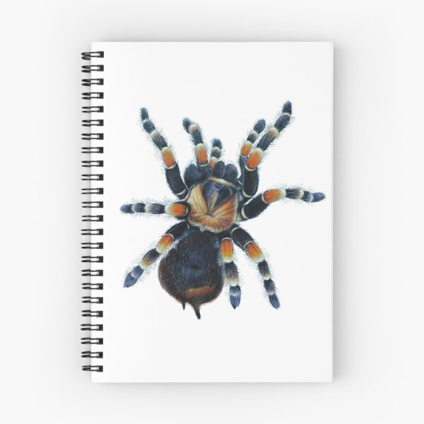 Item preview, Tarantula  designed and sold by Salmoneggs.