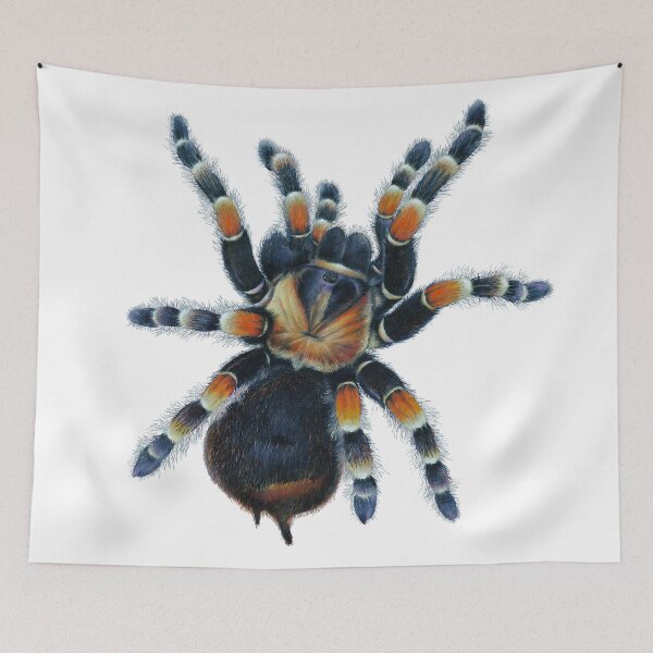 Item preview, Tarantula  designed and sold by Salmoneggs.