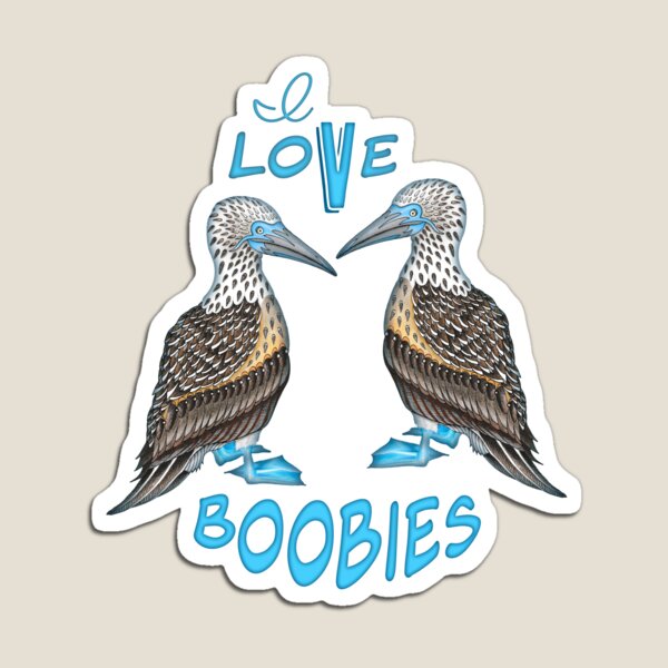 I Love Boobies Magnet
