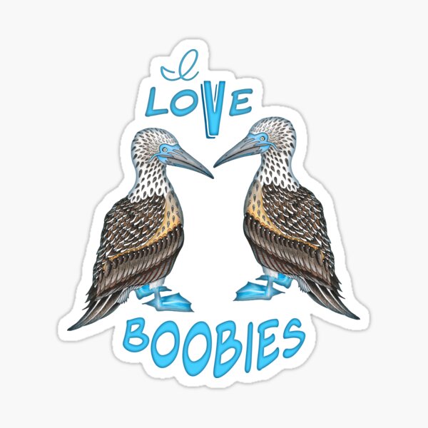 I Love Boobies Sticker