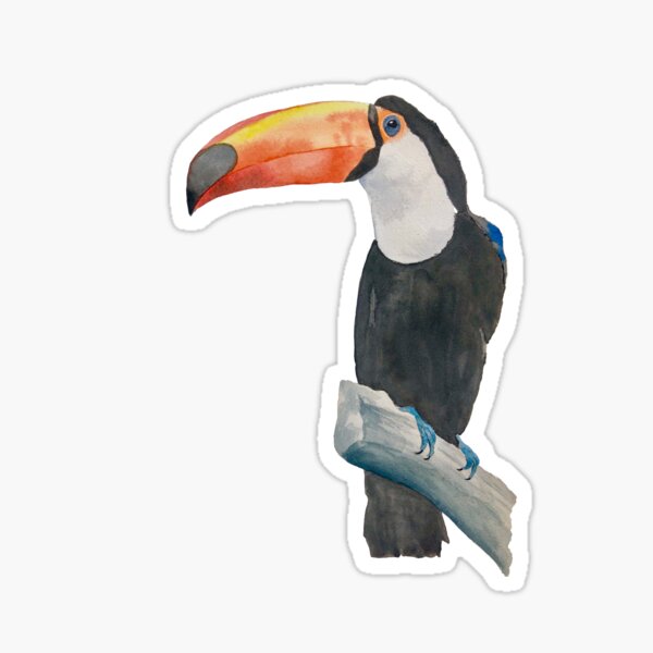 Sticker animal bird toucan ref 753 