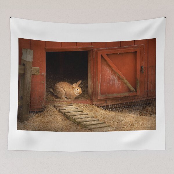 Item preview, Animal - Rabbit - Making eggs for easter designed and sold by Mike Savad Photography.
