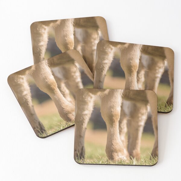 Item preview, Cloven designed and sold by Jim Love.