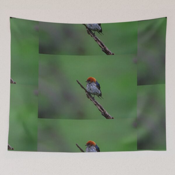 Item preview, Little Bird designed and sold by Totallyalive.