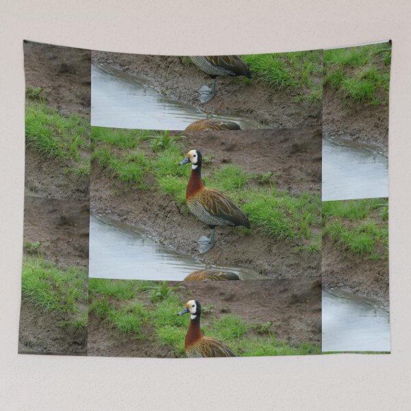 Item preview, African Duck designed and sold by Totallyalive.