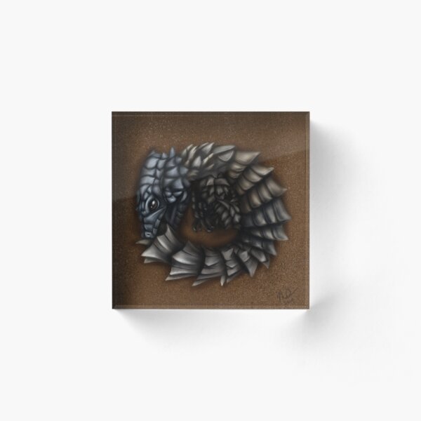 Girdled Armadillo Lizard Acrylic Block