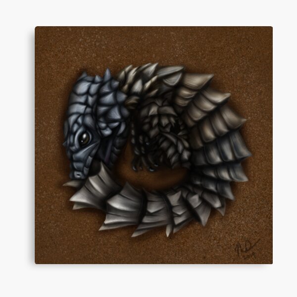Girdled Armadillo Lizard Canvas Print
