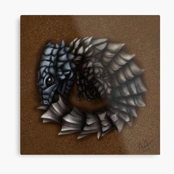 Girdled Armadillo Lizard Metal Print