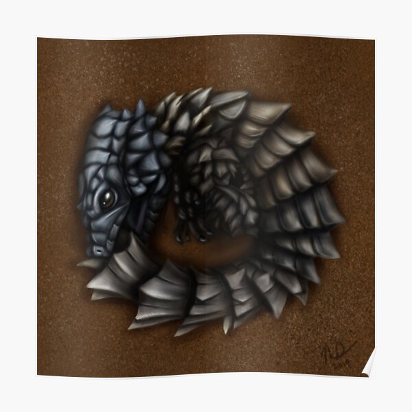 Girdled Armadillo Lizard Poster
