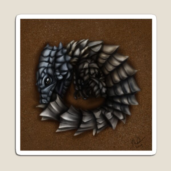 Girdled Armadillo Lizard Magnet