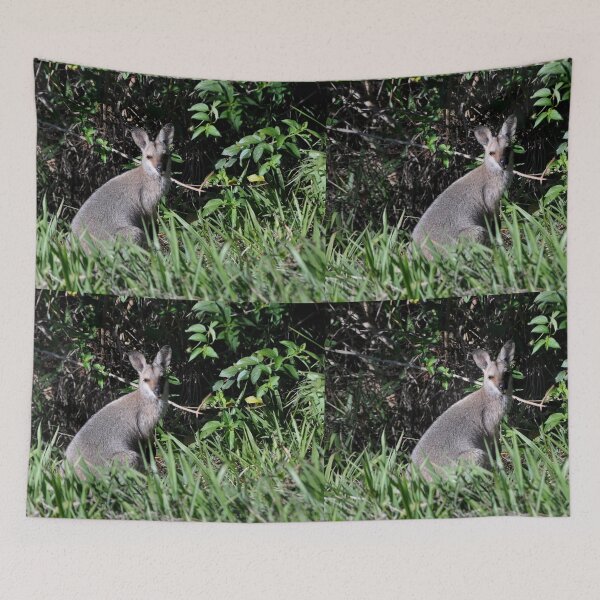 Item preview, Wallaby,Nimbin YHA,NSW Australia 2016 designed and sold by muz2142.