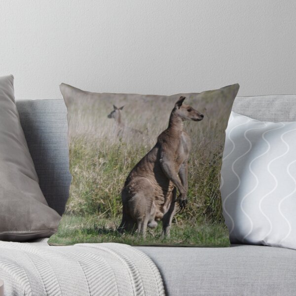 Item preview, Kangaroos,Burnett Heads,Qld,Australia 2016 designed and sold by muz2142.