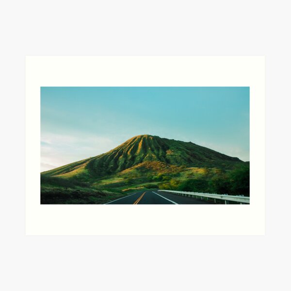 Hawaii Art Print