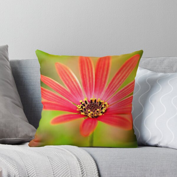 Item preview, Red Osteospermum designed and sold by FOLK ART FUSION by heidiannemorris.