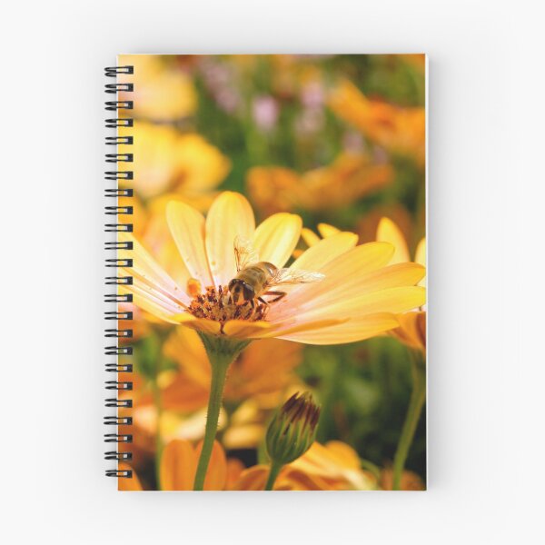 Item preview, King Bee designed and sold by zihniophoto.