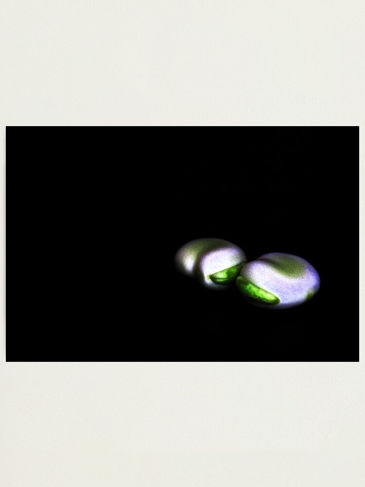 Alternate view of Two Broad Beans Photographic Print